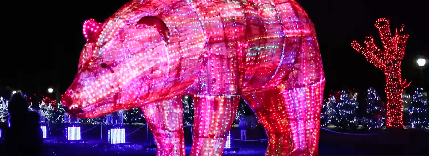 Brookfield Zoo Holiday Magic